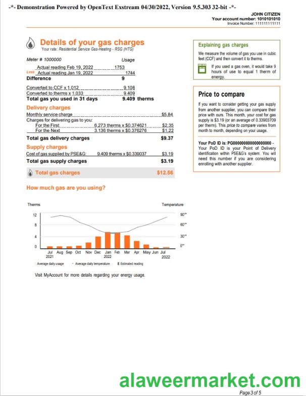 USA New York PSEG utility bill, Word and PDF template, 5 pages 3